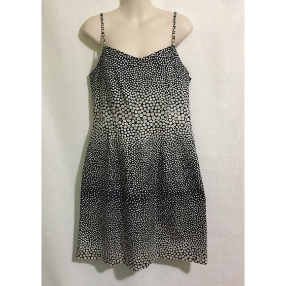 LOFT | Dresses | Ann Taylor Loft Sz 6 Polka Dot Dress | Poshmark